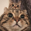 Lilian Steimer's avatar